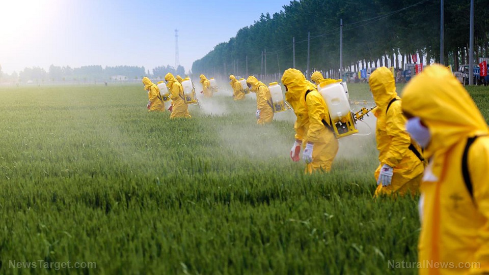 ONU: I pesticidi sono inutili  e uccidono 200.000 persone ogni anno E l’Ue dice sì a fusione Bayer-Monsanto